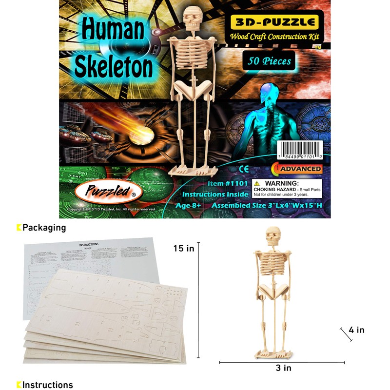 Puzzled 3D Puzzle Human Skeleton Wood Craft Construction Model Kit,