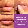 Dermasuri Exfoliante y humectante para labios, exfoliante de azúcar para