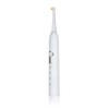 Edel+White Bacterio Target & Focus Brush Heads