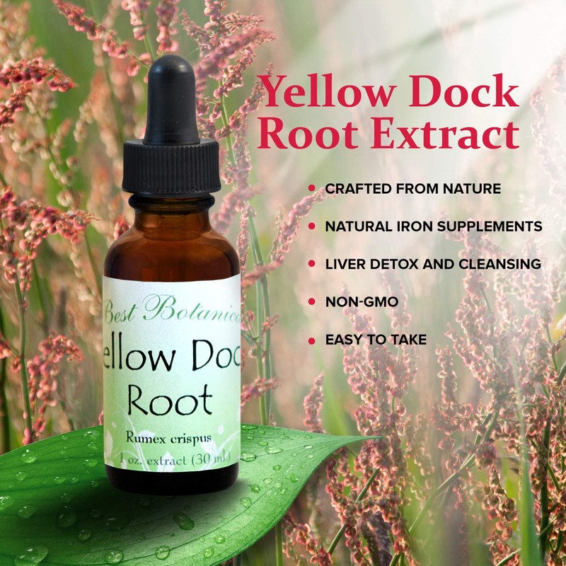 Best Botanicals Yellow Dock Root Extract 1 oz.
