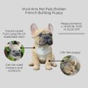 Vivid Arts Small French Bulldog