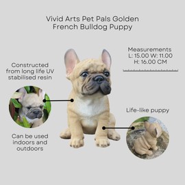 Vivid Arts Small French Bulldog