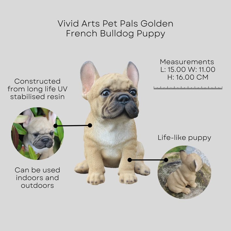Vivid Arts Small French Bulldog