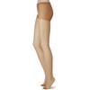 Gunze SP811 Sabrina Women's Pantyhose, Deodorizing, Run-Resistant, 3 Pairs -