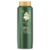 Shampoo BioExpert Extracto de Placenta Vegetal 650 ml