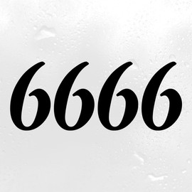 Minglewood Trading 6666 Angel Number Vinyl Decal | Reflect Reconnect Numerology | Die Cut Sticker