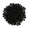 Washington State Grown Black Beans | 18 lbs | Project