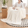 Vessia Flannel Fleece Throw Blanket for Couch,Sofa,Bed, 300GSM Striped Cream
