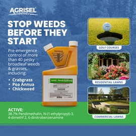 Agrisel Pendi Hydrocap Weed Killer, Pre-Emergent Formula, Effective on 40+ Broadleaf Weeds and Grasses, No-Stain, Mixes Easily, Pet Safe, Includes 3-Pack of Agrisel Protective Gloves, 32 Ounces