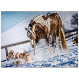 American Paint Horse On Snow - Premium 1000 Piece Jigsaw Puzzle for Adults