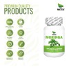 Moringa 100 Cápsulas Regula Azúcar Disminuye Colesterol Alto Proteínas Antioxidante