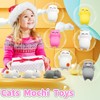 Mochi Squishy Toy Set, Squeeze Toy 6 Pieces Mini Fidget