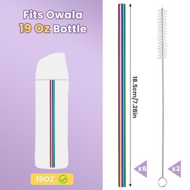 NiHome 6-Pack Iridescent Stainless Steel Drinking Straws, Compatible with Owala FreeSip 19oz & Tritan 25oz, Food-Grade Rust-Resistant Material, Includes Cleaning Brushes & Travel Storage Bag
