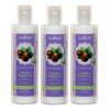 3 Crema Para Peinar Aloe Vera Castañas Nutritivo Florigan
