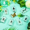 Large Size 8 Pcs Insect in Resin Specimen Bugs Taxidermy