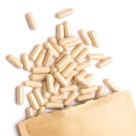 Terra Elements Organic Hericium Capsules (400 mg, Pack of 150) I Lion's Mane I Hedgehog Spiked Beard I Whole Fruit Body I 100% Pure I Raw Food