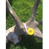 Phone Skope Antler Tape
