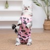 DoggieKit Cat Recovery Suit After Surgery, Anti Licking Onesie Postoperative