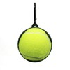 FeiYeup Ball Holder Tennis Holder with Dog Leash Attachment Pet