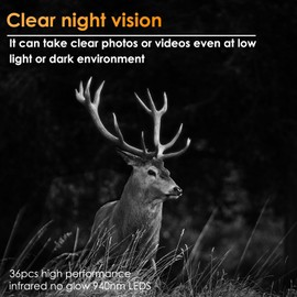 BLAZEVIDEO Trail Camera 32MP 1296P H.264 MP4 Video with 75ft No Glow Night Vision Motion Activated 0.3 Trigger time IP66 Waterproof Outdoor Tracking Time Stamp Time Lapse Photo Video Model