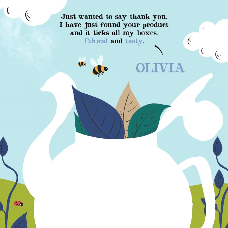 Clipper Organic Decaffeinated Tea Bags (40) - Pack of 2