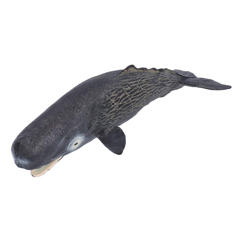 Realistic Sperm Whale Replica Simulated Marine Animal Model Educational Collector