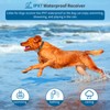 QLIFE Dog Shock Collar with Remote: Dog Shock Training Collar