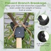 Kalinar Tree Crutch (1-Pack) - Durable Support for Fruit Tree