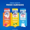 Lysol Disinfecting Wipes Bundle, Home Apartment Dorm Room Essentials and