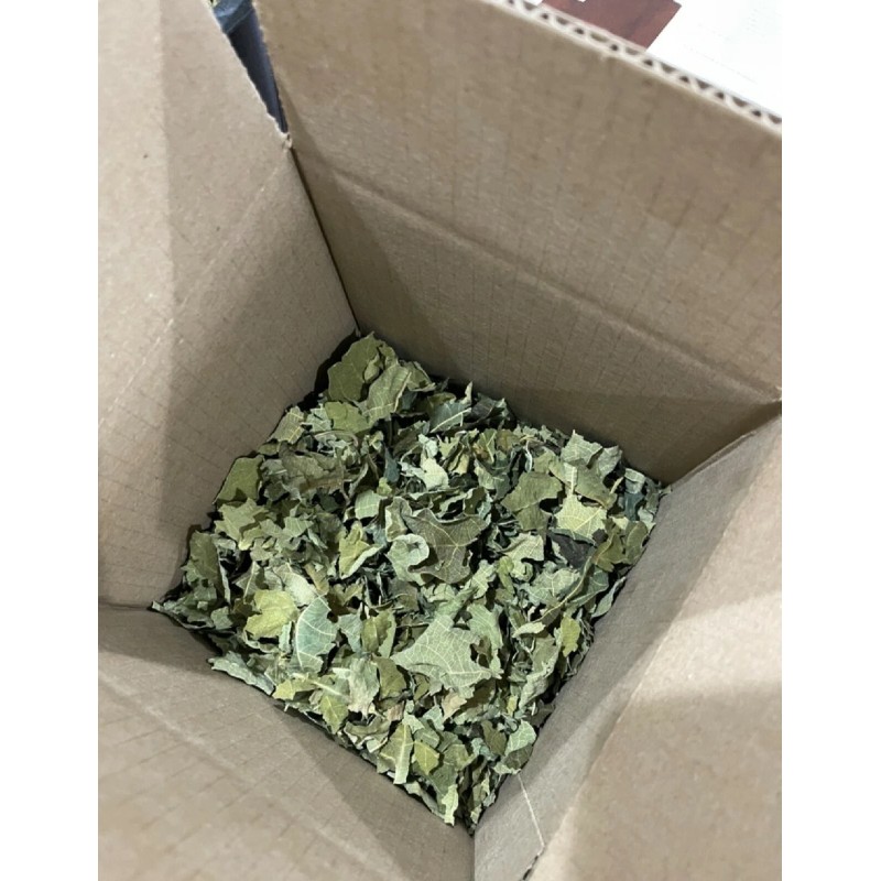 Fresh Leaves 8 oz (230 gram) or One Pound Dried