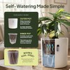 Self-Watering Planter for Leca and Pon - 4-Pack (6 inch)