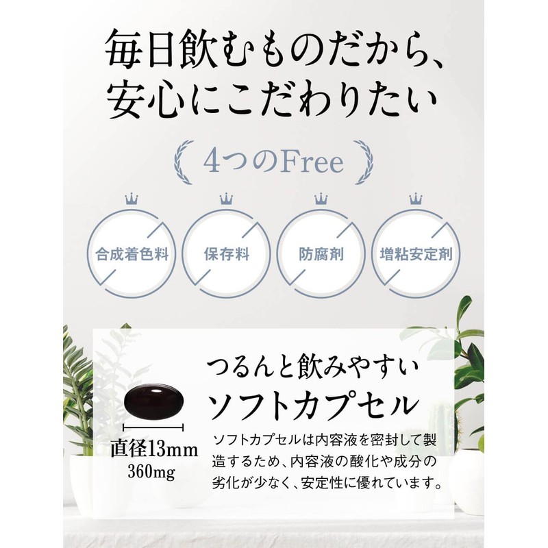 【3袋セット】炭酵素ファイバー チャコール サプリ 酵素 ノニ サラシア 食物繊維 コンブチャ KUROBIO