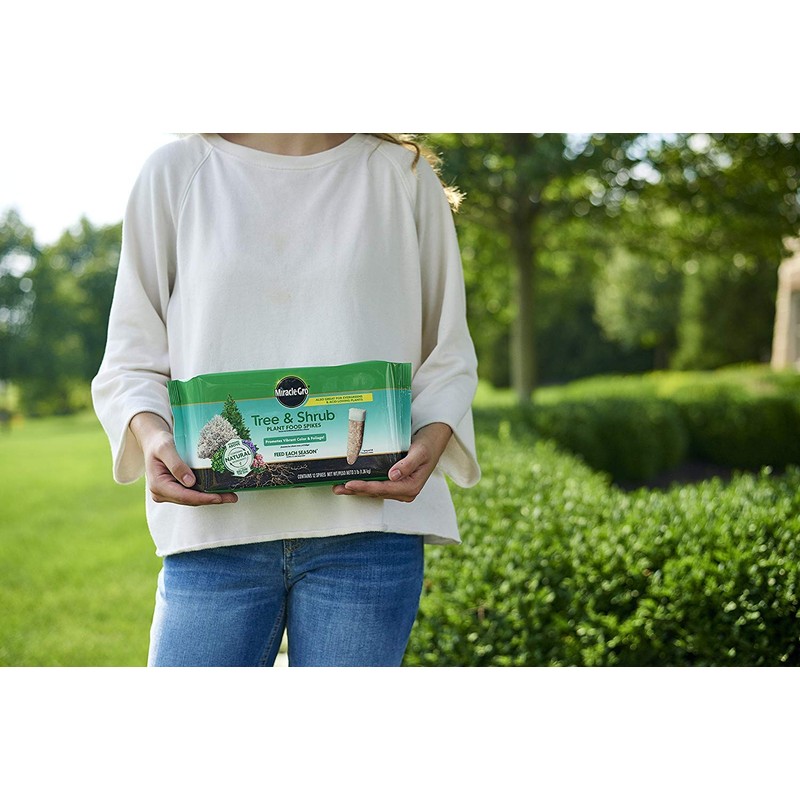 Miracle-Gro Tree & Shrub Fertilizer Spikes - 12 PK -