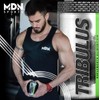Tribulus Terrestris, Mdn Sports, 60 capsulas, Precursor Testosterona