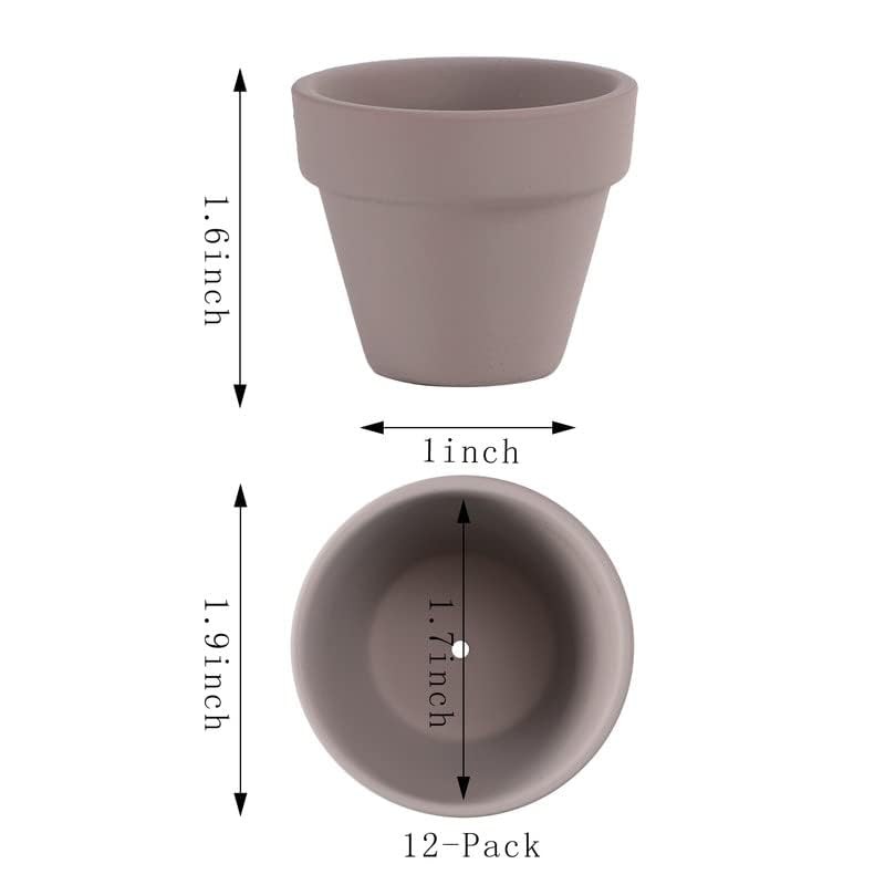 Yishang 1.9 Inch Tiny White Terracotta Pots Pack of 12-Small
