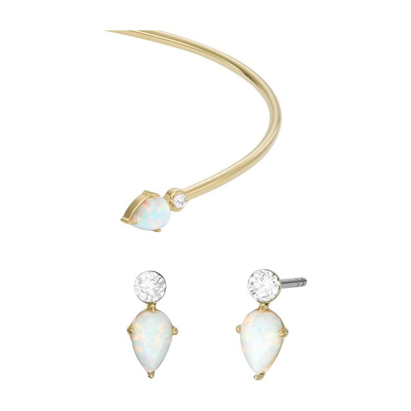 Fossil JF04321SET Jewellery