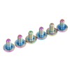 Dingtai Low Head Plum Head Titanium M6x12mm Brake Handlebar Bolts
