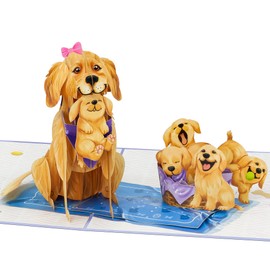 POPWOW Golden Retriever Pop Up Cards, Dogs, 3D Greeting Cards, Gift for Birthday, Mothers Day, Anniversary, Valentines Day, Mom, Stepmom, Mother in Law, 5x7 - Includes Envelope And Message Note