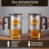 BLUENIYA 750ml Glass Teapot with Magnetic Infuser - Borosilicate Heat-Resistant
