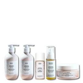 Bondi Boost Bond Builder+ System Bundle