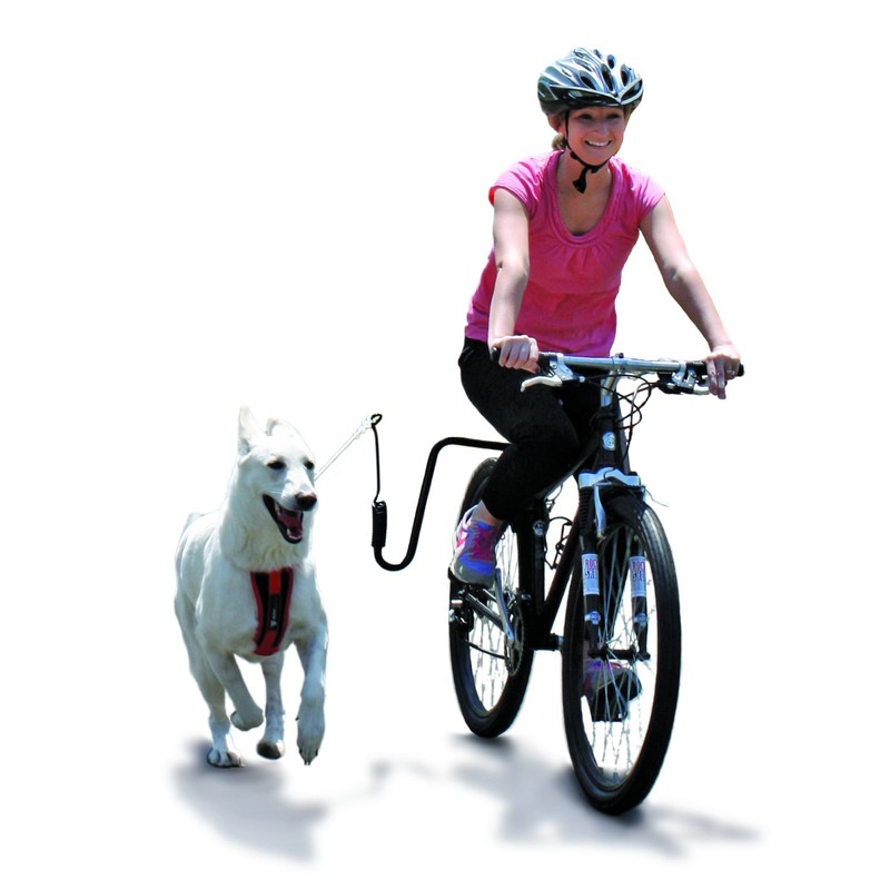 Springer Hands Free Dog Leash Bike Attachment Kit -Pet Exerciser