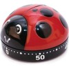 Kitchen Timer - Ladybug design