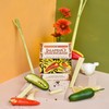 Fusion Flavors Dips and Seasonings Variety Packs - Variety 6
