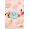 Spongellé Florica Collection Body Wash Infused Mini Buffer, Mystic Rose