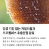 Oral Lactobacillus Infants, Babies, Elementary School Students, Family Xylitol Apple