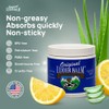Original Udder Balm Moisturizing Cream 16oz Jar by Original Udder