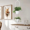 ABETREE Hanging Planters 2 Tiers Metal Plant Hangers for Indoor