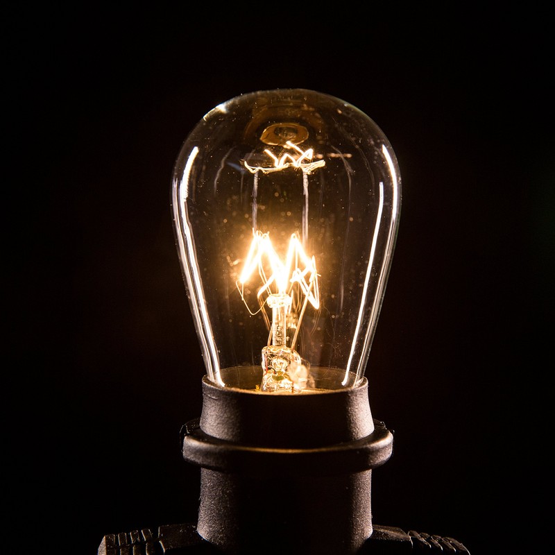 Hometown Evolution, Inc. (Box of 25) S14 Clear 11 Watt