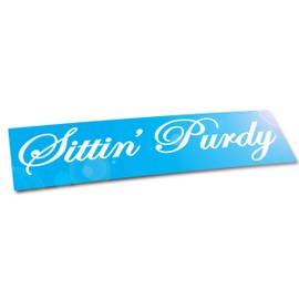 Sittin' Purdy car 8" Window Decal/Sticker__ JDM Euro Drift Race Stance Molar 4x4 Style