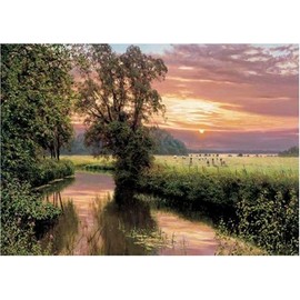 Ravensburger 15277 Fried Full of Evening Jigsaw Puzzle 1000 Pieces